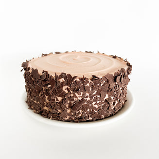 Double Chocolate Cake