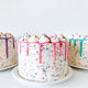 thumbnail for Sprinkle Party Cake