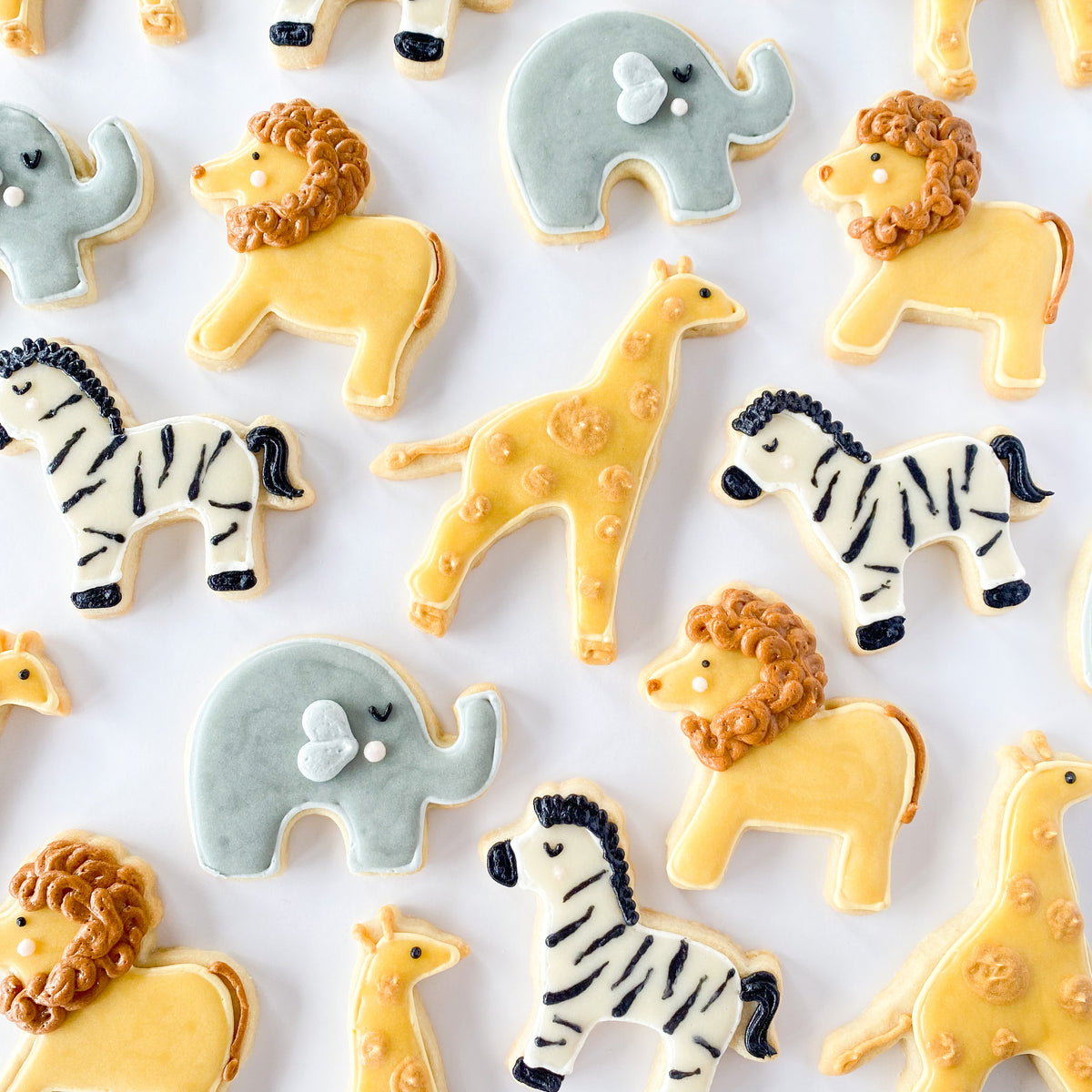 Safari Sugar Cookie Set